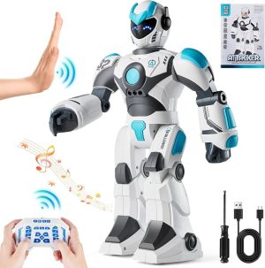 Attacker Robot